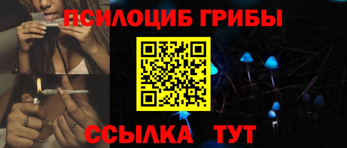 Усть-Илимск  Псилоцибиновые грибы Magic Shrooms  Вход с VPN  Галлюциногенные грибы Psilocybe 
